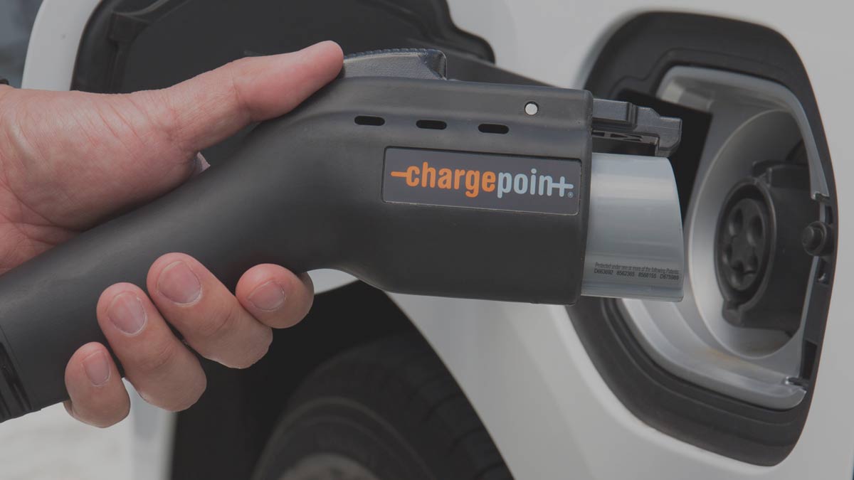 charge point stock price