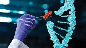 what stocks to invest in 2021 (gene editing stocks)