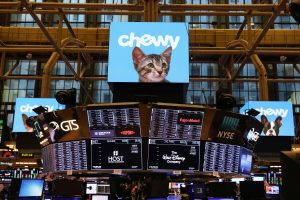 stock market today (chewy stock)